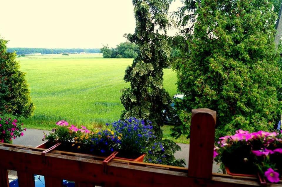 Agroturystyka U Willima Mechnica Exteriör bild