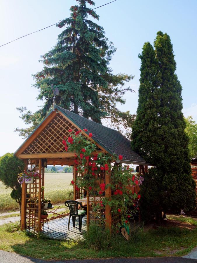 Agroturystyka U Willima Mechnica Exteriör bild